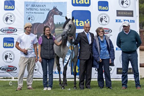 28_RESERVADO CAMPEON PADRILLO - LR WILD POWER