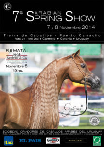 Afiche-Spring-Show-2014