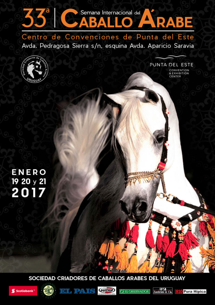 tapa-catalogo-punta-2017