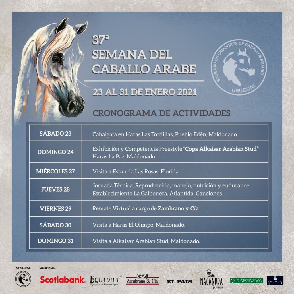 Poster sobre la 37ª Semana Internacional del Caballo Árabe.